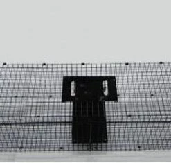 AllesTegenOngedierte.nl Opvouwbare Martervangkooi XL 2 Deurs