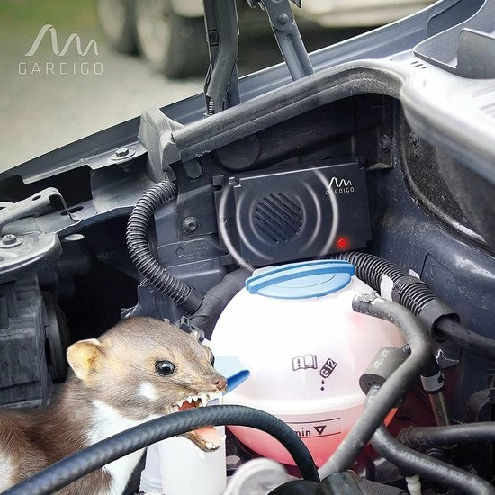 Tevigo Steenmarter, Auto, Veilig, Verjagen 6 Tevigo Steenmarter, Auto, Veilig, Verjagen - Afbeelding 4